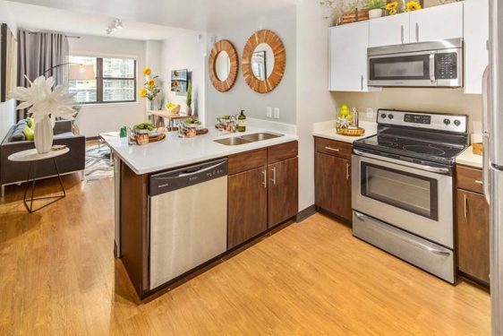 Apartment Gallery - 5