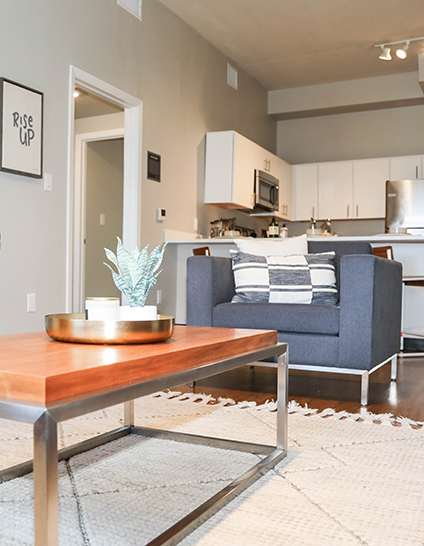 furnished living room